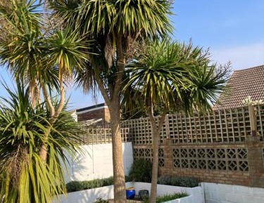 Four-Bedroom Holiday Home