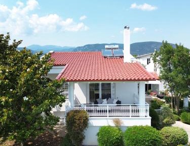 Standard Villa