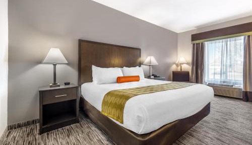 King Room with Roll-In Shower - Disability Access