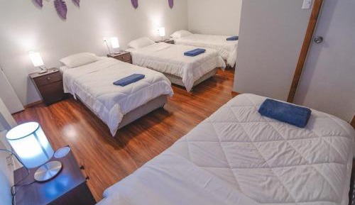 Bed in 4-Bed Dormitory Room