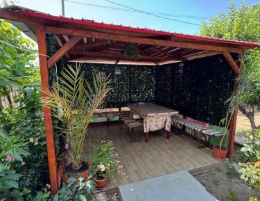 Apartment with Garden View