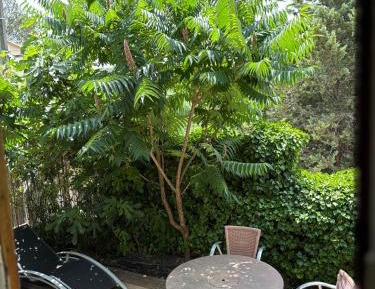 Studio with Terrace