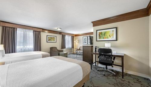 Junior Queen Suite