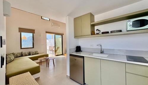 One-bedroom Loft Apartment 