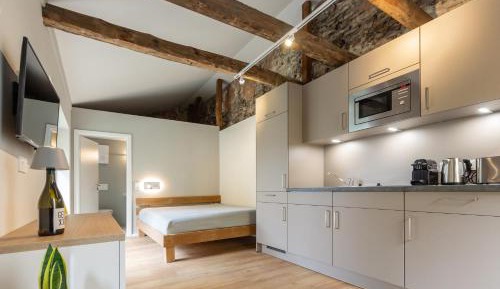 Deluxe One-Bedroom Apartment