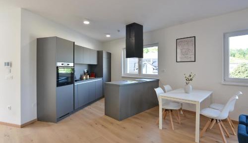 Superior One-Bedroom Apartment with Balcony