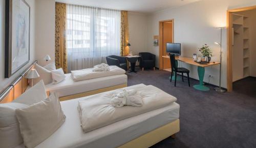 Business Double Room with Double Bed