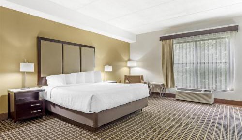 Deluxe King Room - Non Smoking