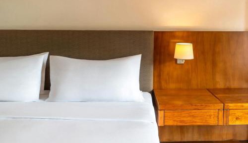 Premier King Room
