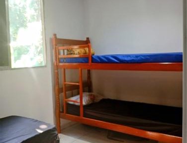Bunk Bed in Mixed Dormitory Room