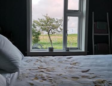 Deluxe Queen Suite