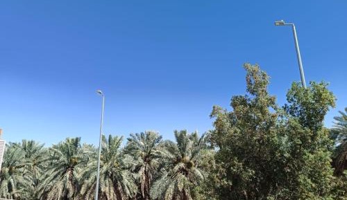 Two-Bedroom Family Apartment