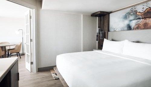 Junior King Suite with Sofa Bed