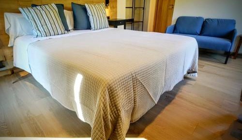 Deluxe Double or Twin Room with River View