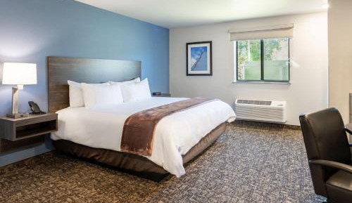 King Room - Mobility Accessible 