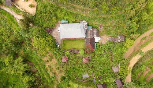 Deluxe Bungalow