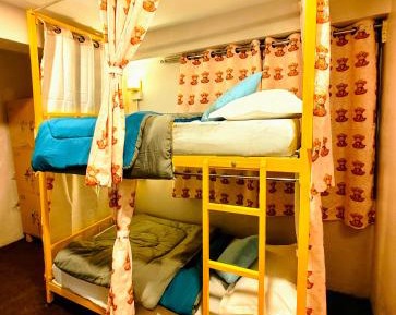 Bunk Bed in Mixed Dormitory Room