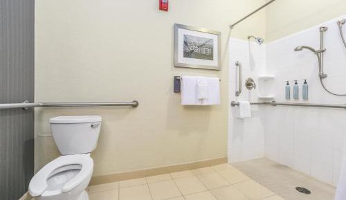 King Room with Sofa Bed and Roll-in Shower - Mobility and Hearing Accessible