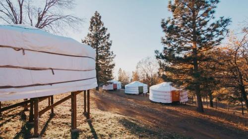 Tent