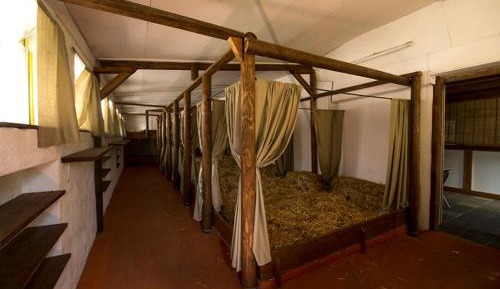 Bed in Mixed Dormitory Room