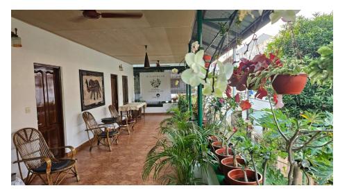 Double or Twin Room with Private Bathroom