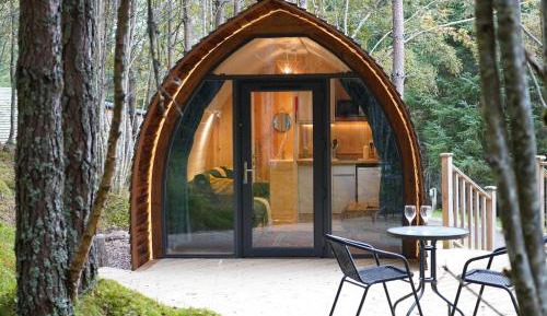 Tiny Cabin