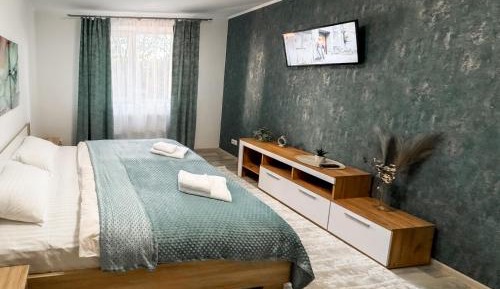 Deluxe One-Bedroom Apartment