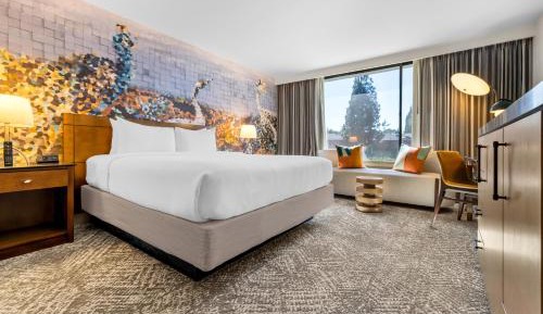 Standard King Room