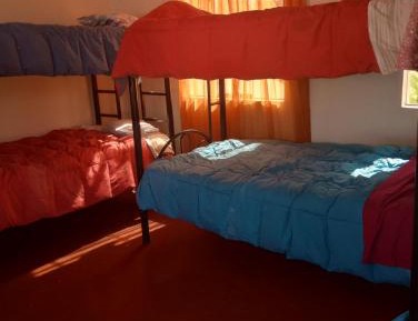 Bed in 4-Bed Dormitory Room
