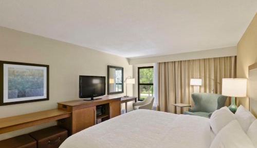 King Room with King Bed - Non-Smoking