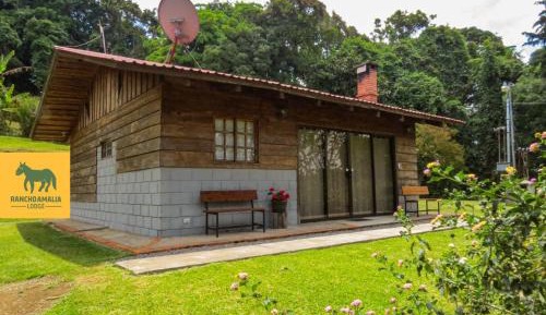 Two-Bedroom Bungalow