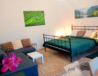 Superior Apartment