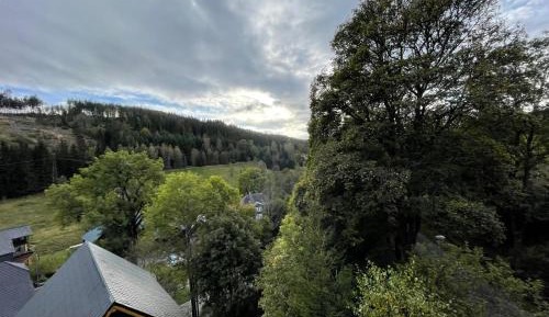 King Room with Mountain View