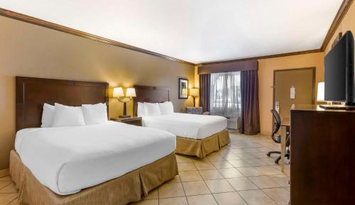 Queen Room with Two Queen Beds - Pet Friendly