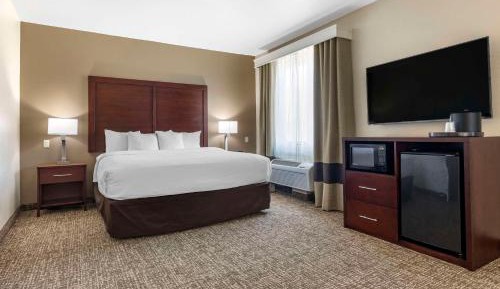 King Suite with Roll-in-Shower - Accessible/Non-Smoking