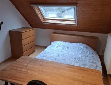 Queen Room with Garden View