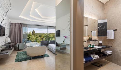 Deluxe Room with Terrace and Sea View