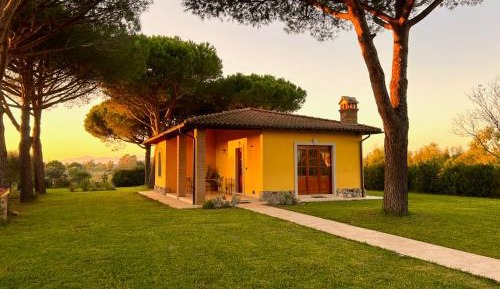 Superior Villa