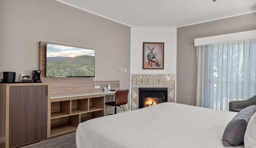 1 King Bed Mobility Accessible with Roll-in Shower, Fireplace, and Balcony