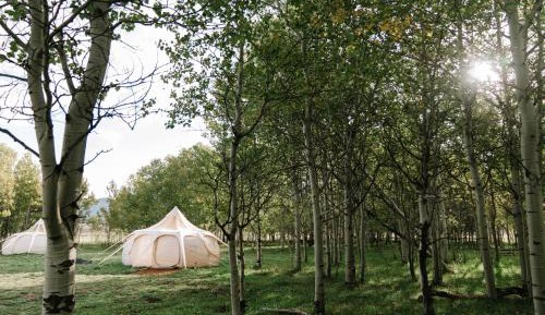 Yellowstone Family Tent