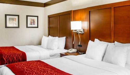 Queen Room with Two Queen Beds - Non-Smoking