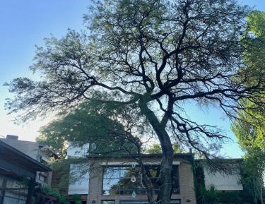 Twin Room with Private Bathroom