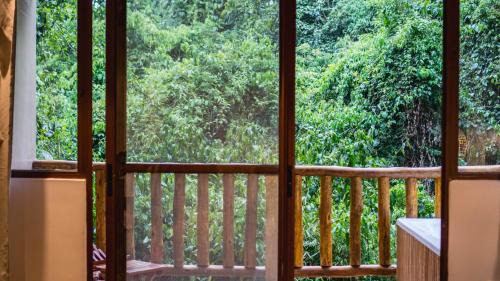 Double Twin Suite Junior