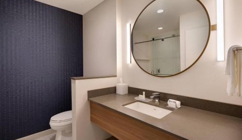 Suite, 1 King, Sofa bed