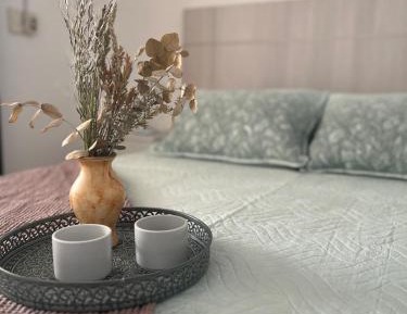 Two-Bedroom Apartment with Mountain View