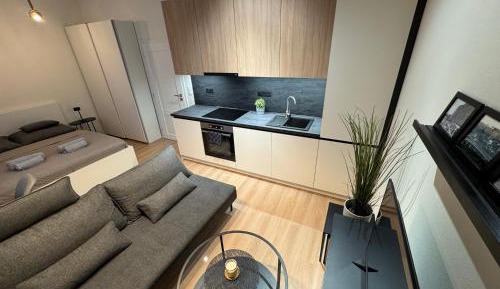Studio Apartment with King Bed