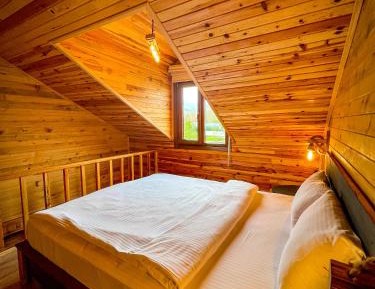 Duplex Suite