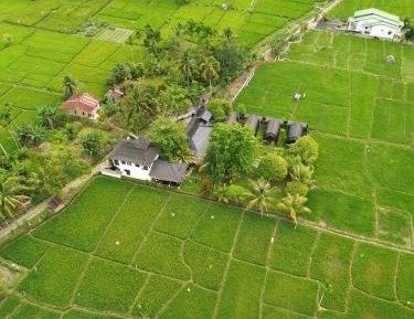 Deluxe Bungalow with Garden View
