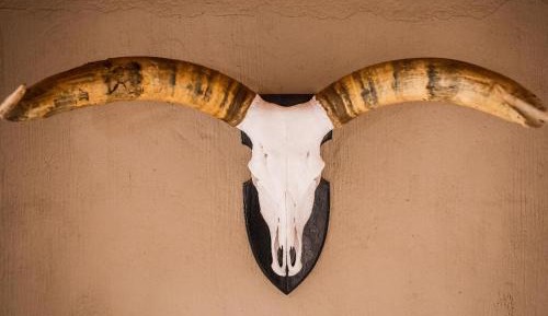 Family Room with Garden View