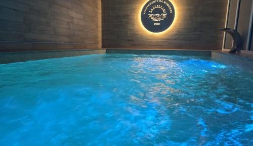 Suite with Spa Access